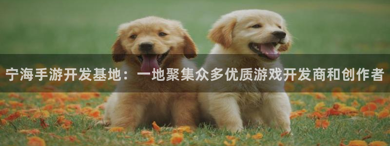 28大神开奖软件：宁海手游开发基地：一地聚集众多优质游戏开发