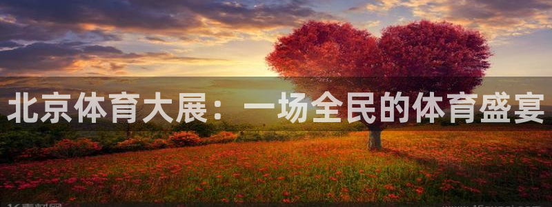 斗球直播app下载官网最新版：北京体育大展：一场全民的体育盛宴
