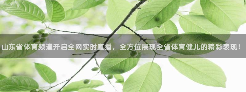 斗球体育app官网：山东省体育频道开启全网实时直播，全方位展现全省体育健儿的精彩表现！