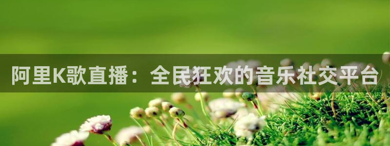 斗球体育直播官网：阿里K歌直播：全民狂欢的音乐社交平台