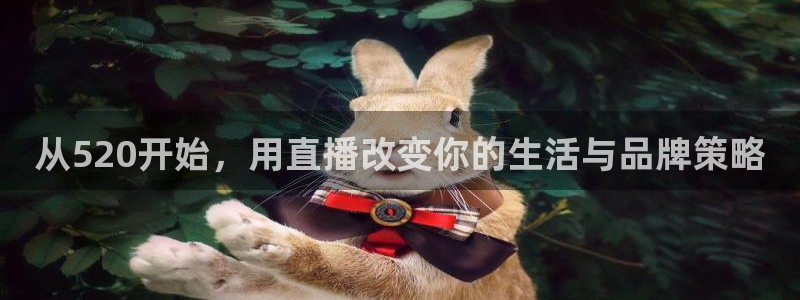 斗球猛哥直播间：从520开始，用直播改变你的生活与品牌策略