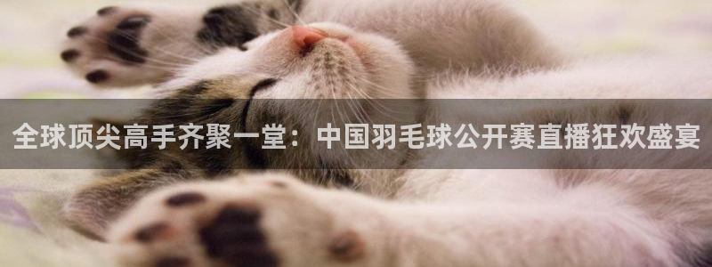 斗球直播app苹果下载：全球顶尖高手齐聚一堂：中国羽毛球公开赛直播狂欢盛宴