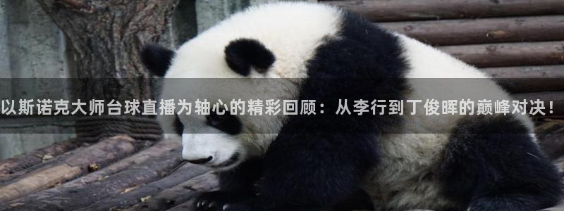 斗球体育直播nba：以斯诺克大师台球直播为轴心的精彩回顾：从李行到丁俊晖的巅峰对决！