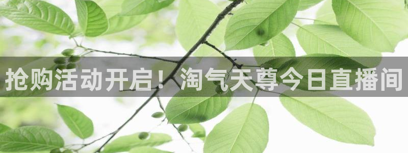 斗球直播(免费版)：抢购活动开启！淘气天尊今日直播间