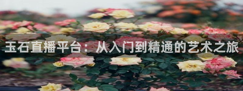 斗球体育直播下载：玉石直播平台：从入门到精通的艺术之旅